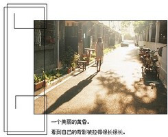 红尘若梦,彼岸花凋零 图片